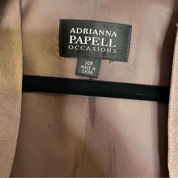 Adrianna Papell Shutter Pleat Shimmer 2 Piece Gown w/ Bolero 14P - Picture 3 of 6